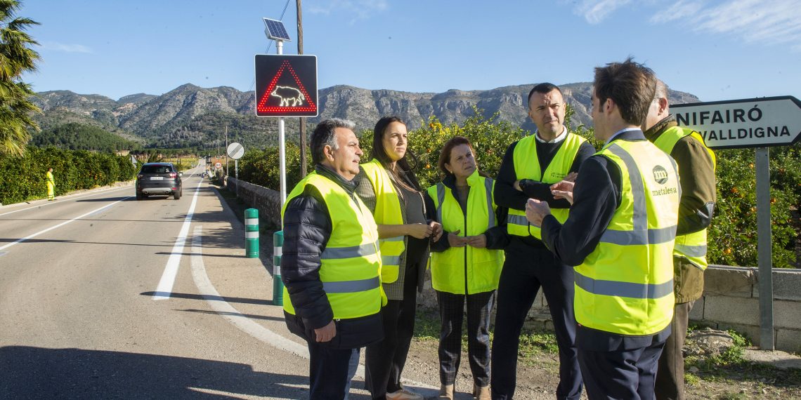 La Diputación de Valencia prueba un sistema inteligente para alertar de la presencia de jabalíes en carretera