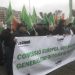Más de 440 agricultores y ganaderos de LA UNIÓ y 10 tractores han participado hoy en la gran protesta que ha culminado ante el Ministerio de Agricultura