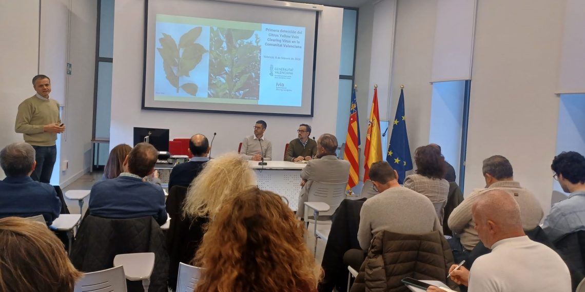 Agricultura informa al sector citrícola sobre las medidas de prevención y control del virus de la clorosis nervial amarilla