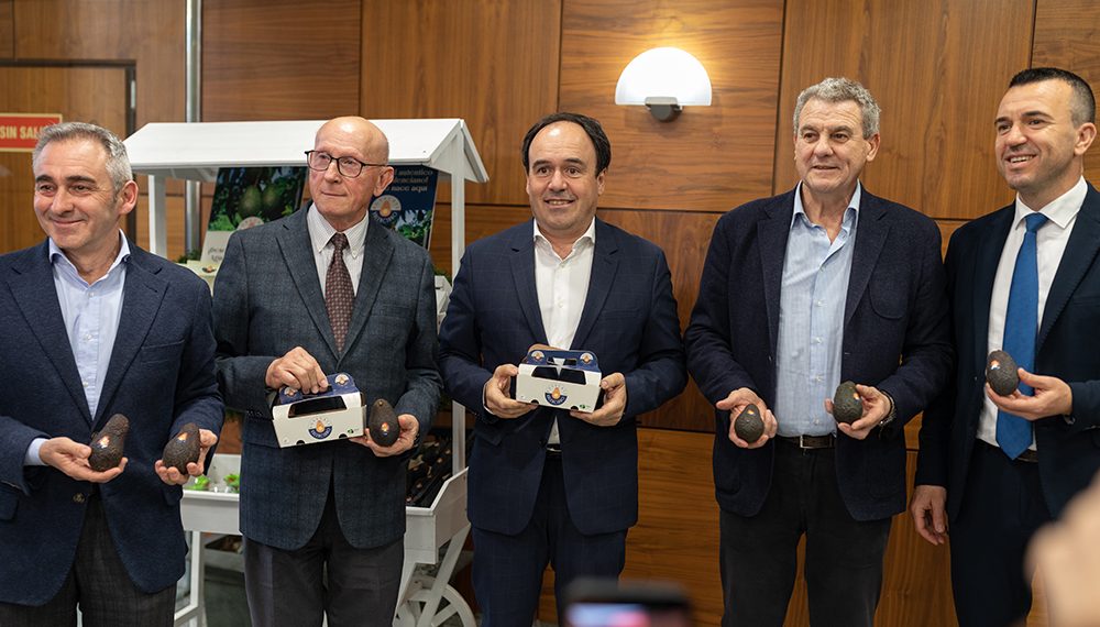 ASOPROA presenta la marca ‘Aguacate Valenciano’ como la “apuesta de futuro” del sector en la Comunitat