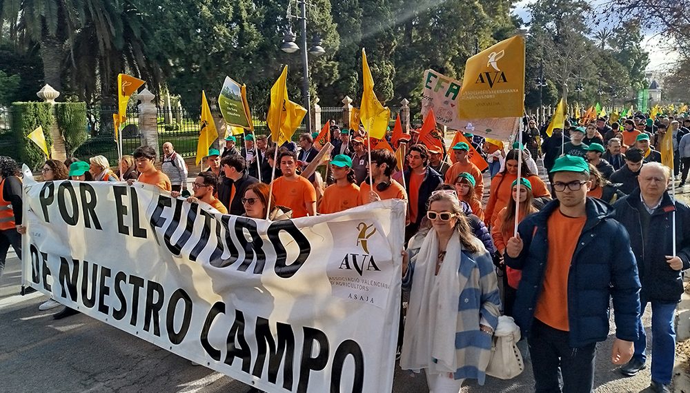 AVA-ASAJA exige a la Comisión y el Gobierno español que rectifiquen el “error” de Mercosur