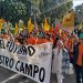 AVA-ASAJA exige a la Comisión y el Gobierno español que rectifiquen el “error” de Mercosur
