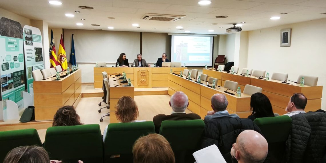 La Generalitat impulsará en los sectores 6, 7 y 11 de los parques inundables un corredor verde a lo largo de la CV-400 tan grande como el Jardín del Turia