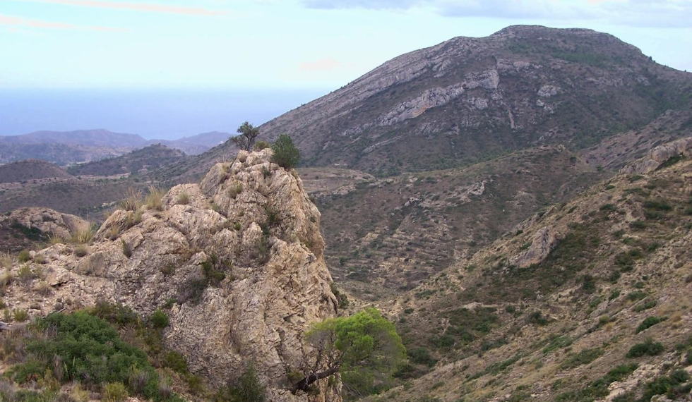 La Generalitat impulsa la ordenación de los montes públicos con 91 proyectos en la Comunitat Valenciana