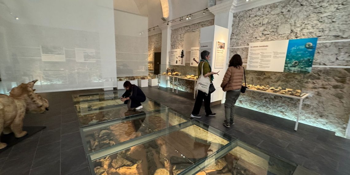 Periodistas de Argentina y China descubren los atractivos turísticos de la provincia de la mano de la Diputación