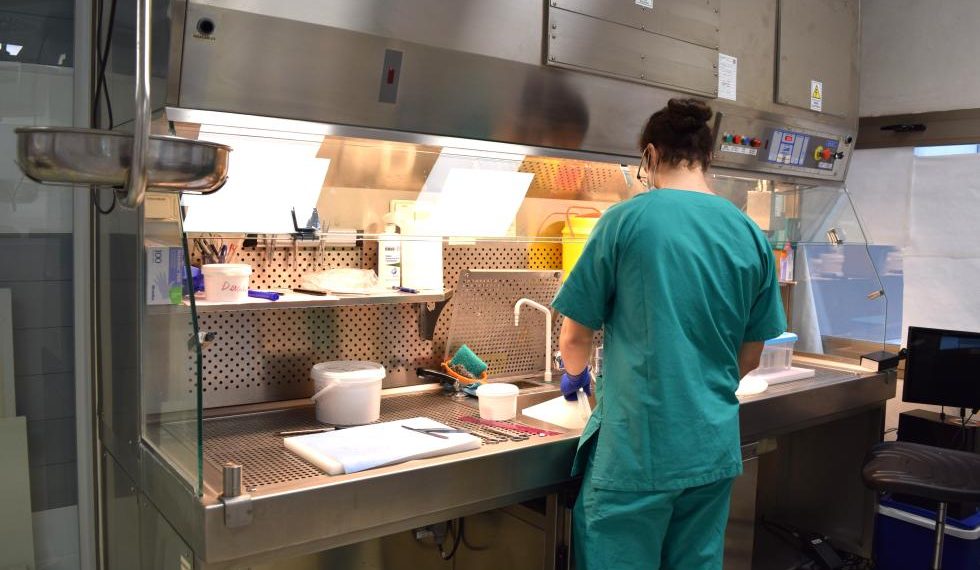El Instituto de Medicina Legal de Alicante organiza una jornada de puertas abiertas para médicos MIR