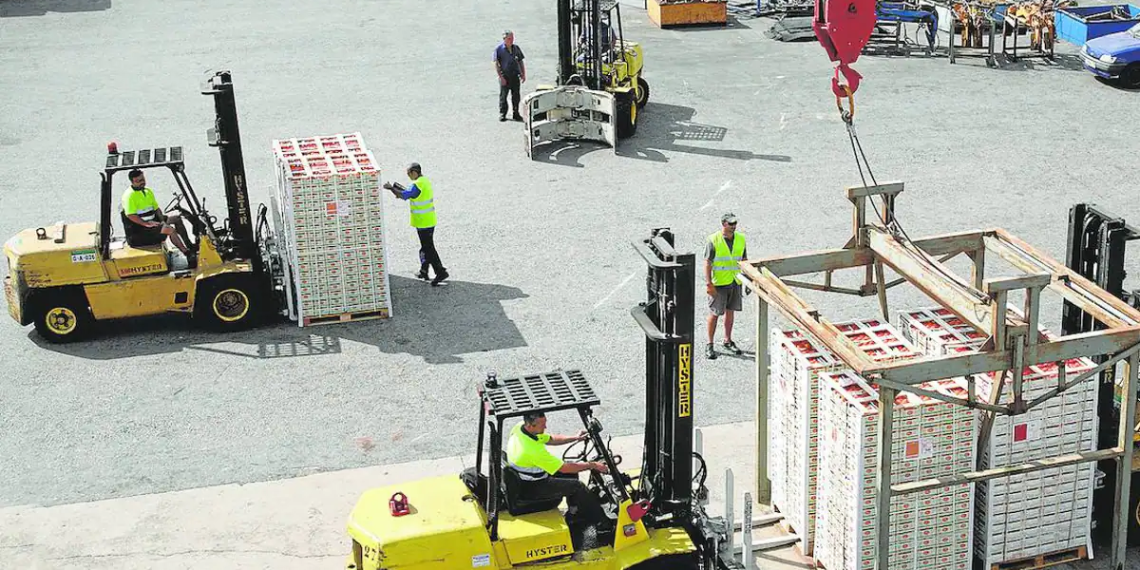 LA UNIÓ denuncia 6 rechazos en febrero de envíos de cítricos de Egipto, Turquía y Brasil con materias activas no autorizadas en la UE