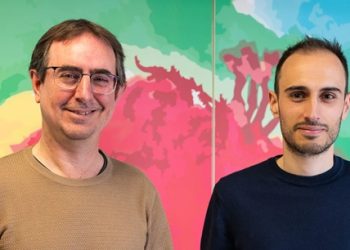 Investigadores de la UPV desarrollan uno de los atlas del cerebro más detallados del mundo