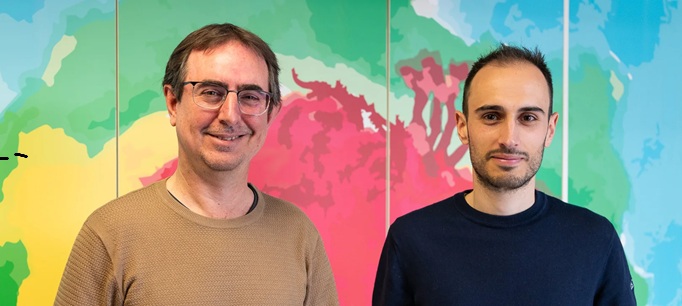 Investigadores de la UPV desarrollan uno de los atlas del cerebro más detallados del mundo