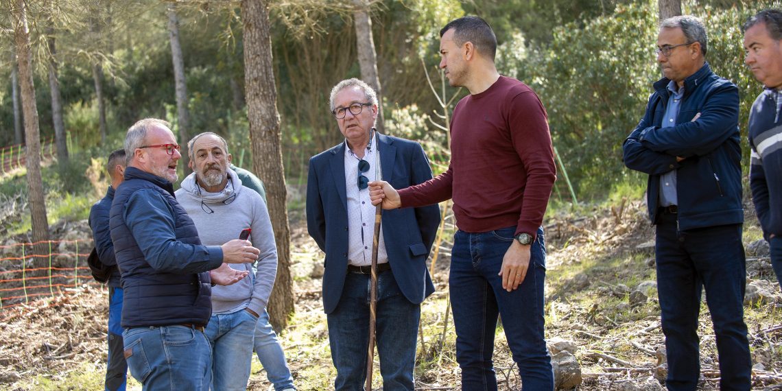 La Diputación de Valencia impulsa el pastoreo para prevenir incendios en Montitxelvo