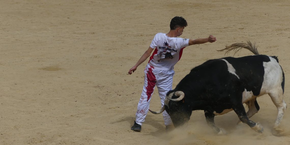 Mateo Martínez campeón del concurso de recortes de Fallas 2026