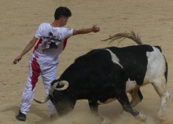 Mateo Martínez campeón del concurso de recortes de Fallas 2026