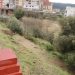 Gátova adjudica las obras para retirar cañas en el barranco del Carraixet.