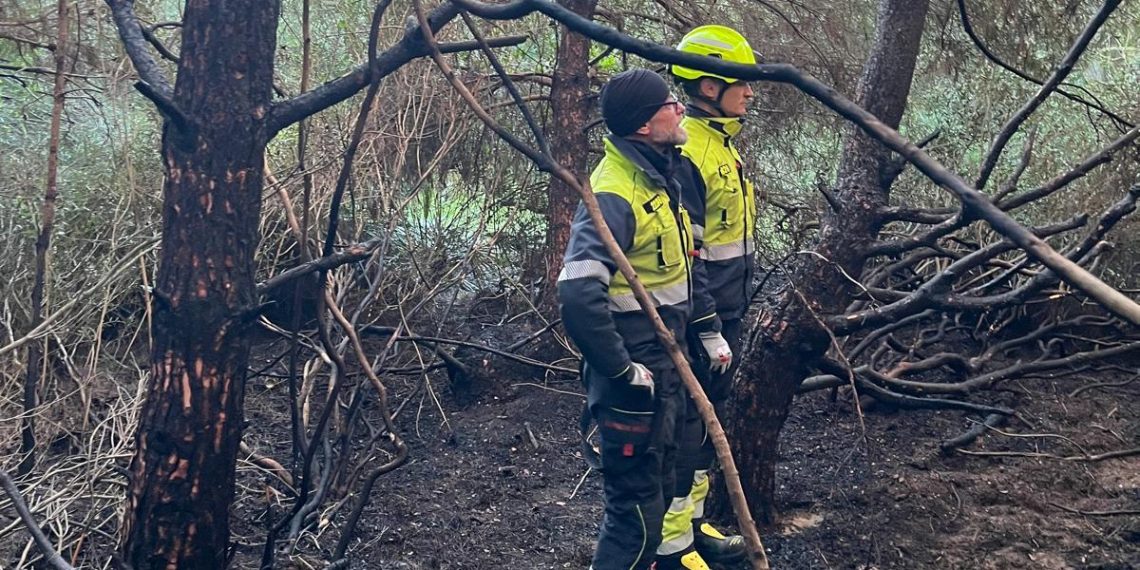 Identificados cinco jóvenes tras un incendio forestal en la zona protegida de El Saler
