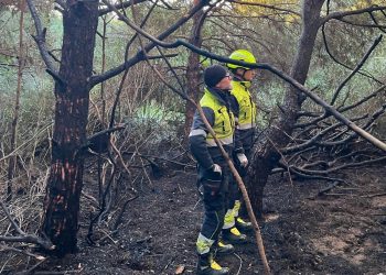 Identificados  cinco jóvenes tras un incendio forestal en la zona protegida de El Saler