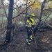 Identificados  cinco jóvenes tras un incendio forestal en la zona protegida de El Saler