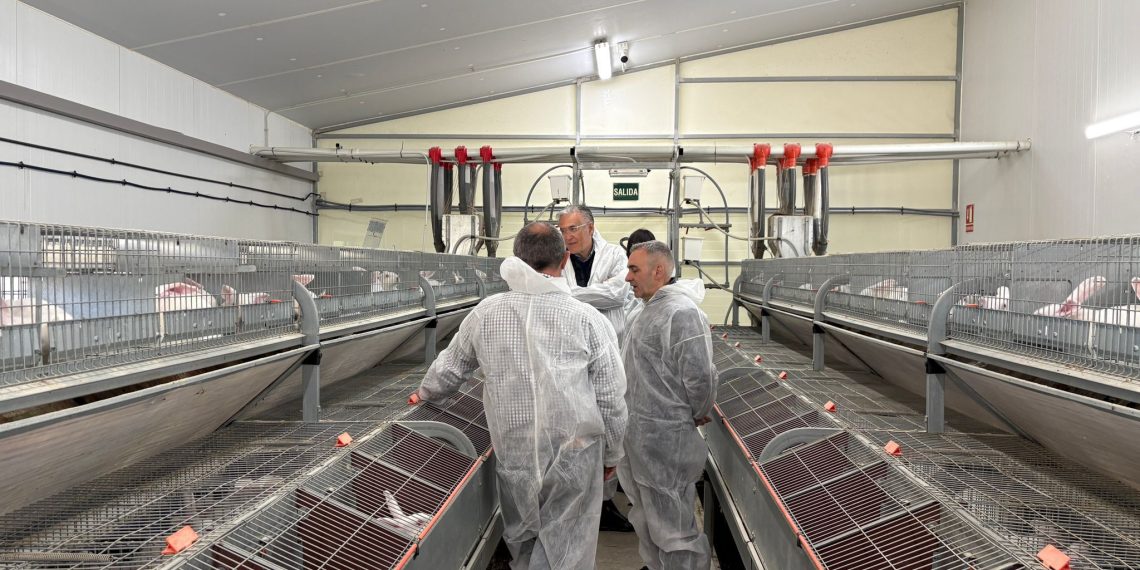Barrachina destaca ayudas de 350.000 euros para reforzar el sector cunícola valenciano