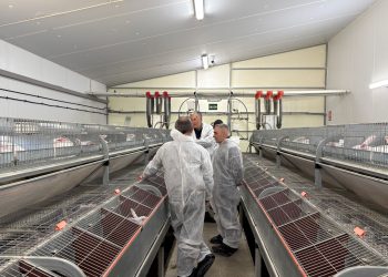 Barrachina destaca ayudas de 350.000 euros para reforzar el sector cunícola valenciano