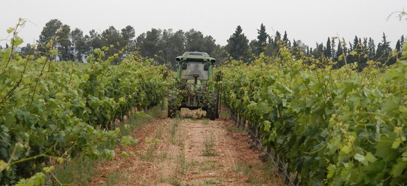 AVA-ASAJA pide rebajar la tensión por Irán ante los perjuicios para el sector agrario