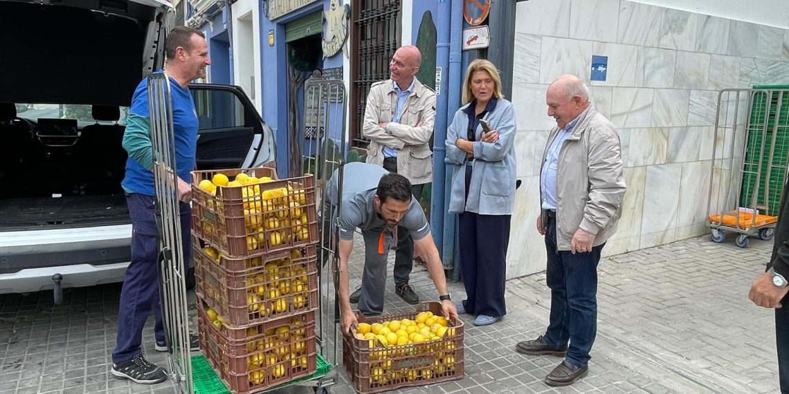 El Ayuntamiento de Valencia reabrirá los huertos de Sociòpolis en mayo