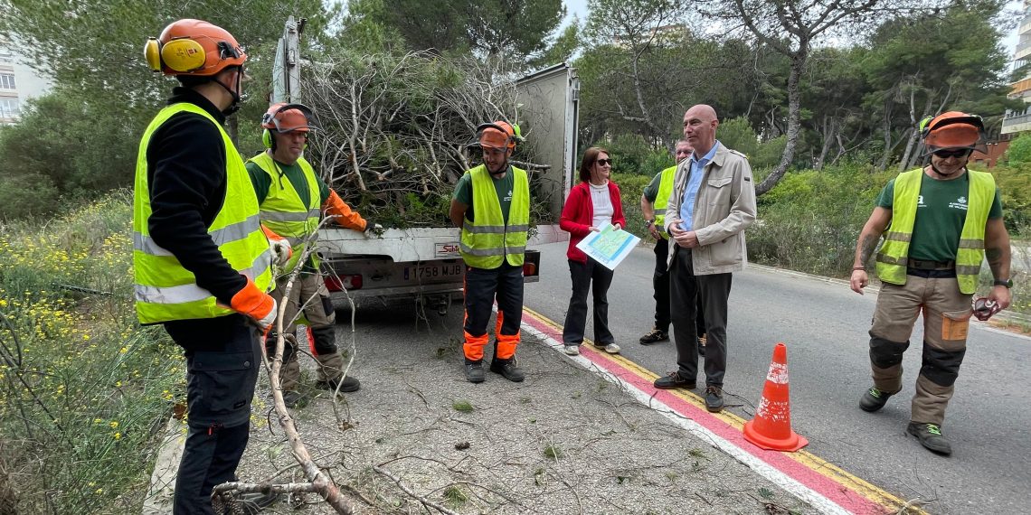 Valencia retira 118 toneladas de restos vegetales en la Devesa para reforzar la prevención de incendios