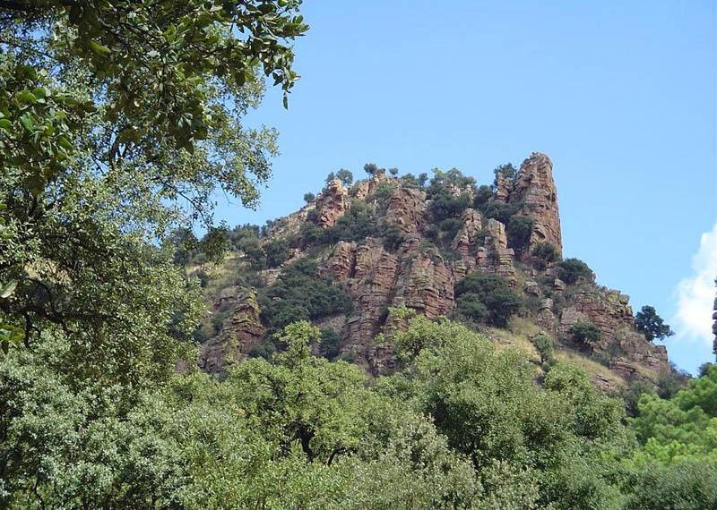 La Generalitat blinda los montes con ocho millones para prevención de incendios
