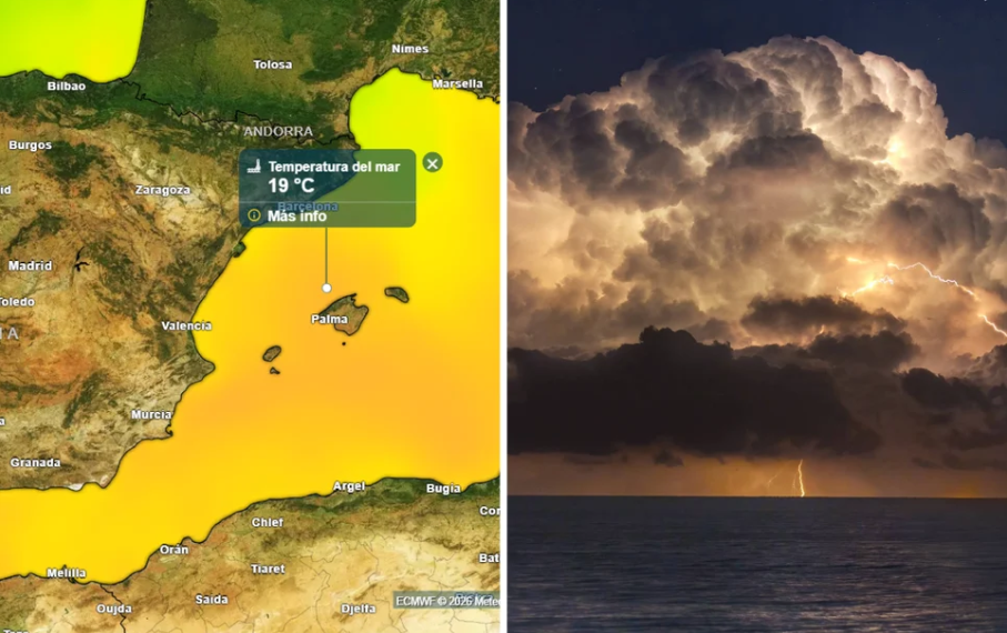 Las aguas del Mediterráneo repuntan 3 ºC por el episodio de calor anómalo