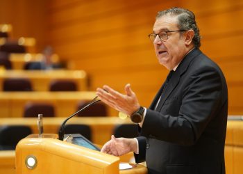 El PP logra el apoyo del Senado para exigir que se frene el «infierno fiscal» y se deflacte el IRPF