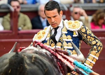 À Punt vuelve a la Maestranza este jueves para ofrecer la corrida de Manzanares, Roca Rey y Zulueta