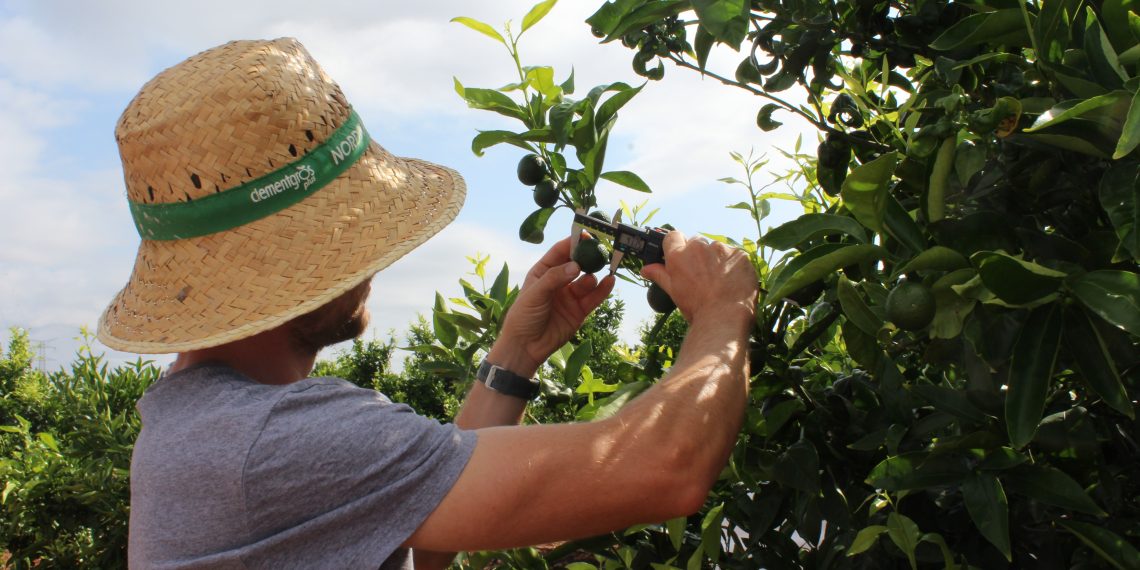 LA UNIÓ reclama ampliar el presupuesto para evitar que 41 jóvenes queden fuera de las ayudas a la primera incorporación agraria