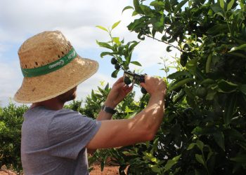 LA UNIÓ reclama ampliar el presupuesto para evitar que 41 jóvenes queden fuera de las ayudas a la primera incorporación agraria