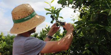 LA UNIÓ reclama ampliar el presupuesto para evitar que 41 jóvenes queden fuera de las ayudas a la primera incorporación agraria