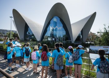 La Ciutat de les Arts i les Ciències abre la inscripción para su Escuela de Verano 2026