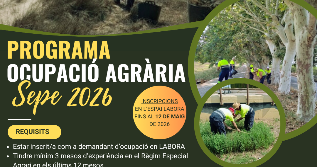 Sueca contratará a 16 trabajadores agrícolas con ayudas del SEPE