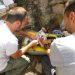 El centro de fauna de El Saler atiende un 20 % más de animales heridos en 2025