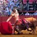 À Punt vuelve a la Maestranza este jueves para ofrecer la corrida de Manzanares, Roca Rey y Zulueta
