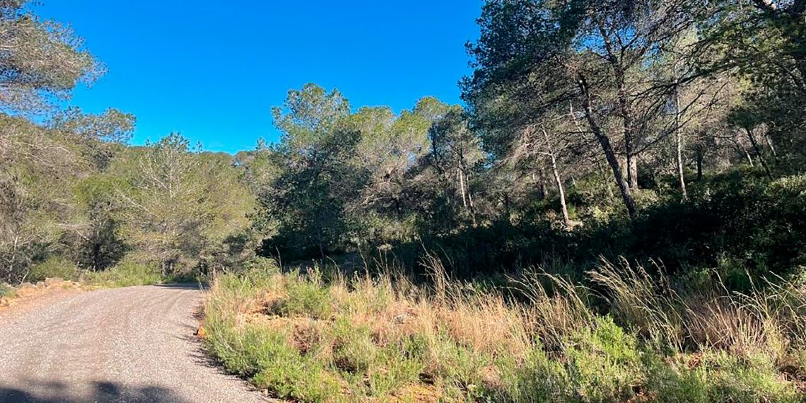 Sagunto impulsa la mejora de un cortafuegos en Romeu para prevenir incendios forestales