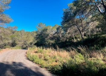 Sagunto impulsa la mejora de un cortafuegos en Romeu para prevenir incendios forestales