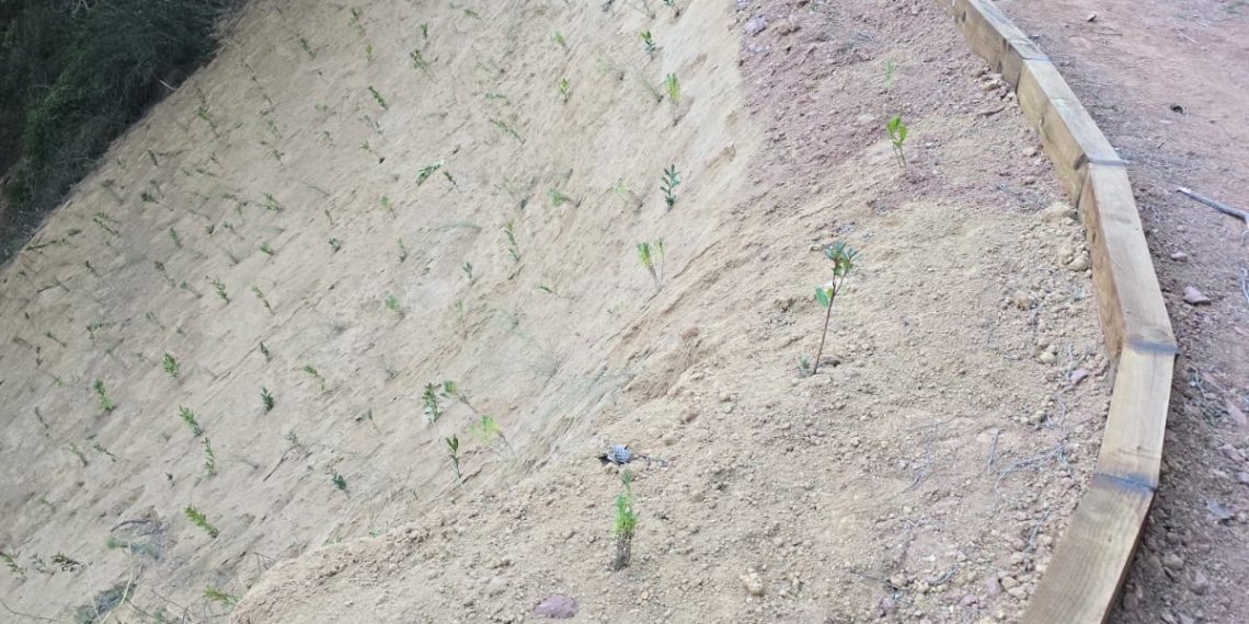 La Diputación de Valencia estabiliza el acceso al barranco de Deula en Serra