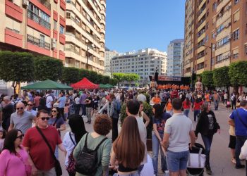 Alzira reúne a 20.000 personas en una ‘Trobada d’Escoles’ en Valenciano histórica
