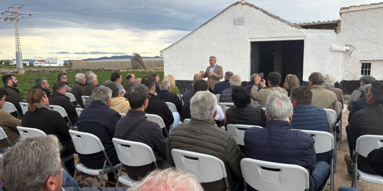 La Generalitat activa ayudas directas por 2 millones de euros para los agricultores de la Huerta de Valencia