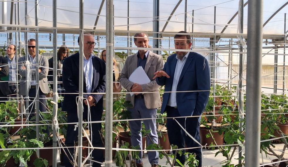 El Relevo Generacional impulsa el futuro del Campo Valenciano