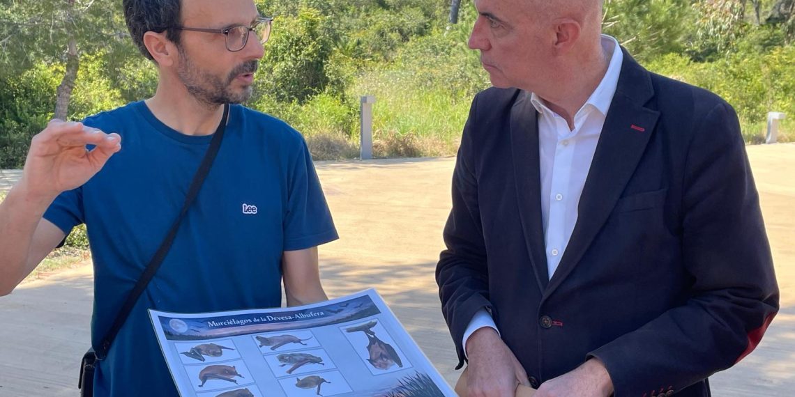 Valencia instala más de 80 cajas refugio para murciélagos en la Devesa-Albufera
