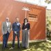 La Mostra de Valencia renueva su identidad visual para adaptarse a la era digital