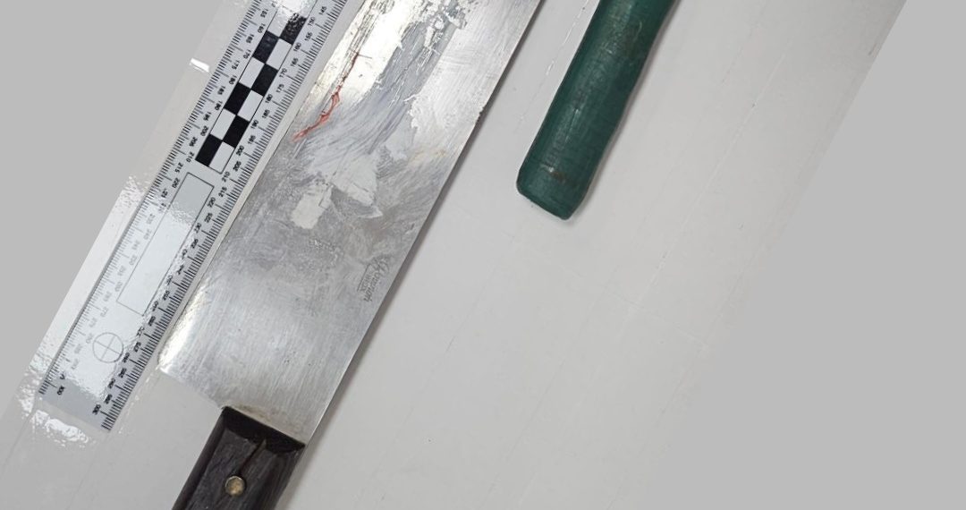 La Policía Local de Valencia detiene a un hombre por intentar apuñalar a varios jóvenes en Campanar