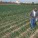 AVA-ASAJA denuncia que el Ministerio dejará fuera a miles de agricultores de las ayudas a fertilizantes por las trabas burocráticas