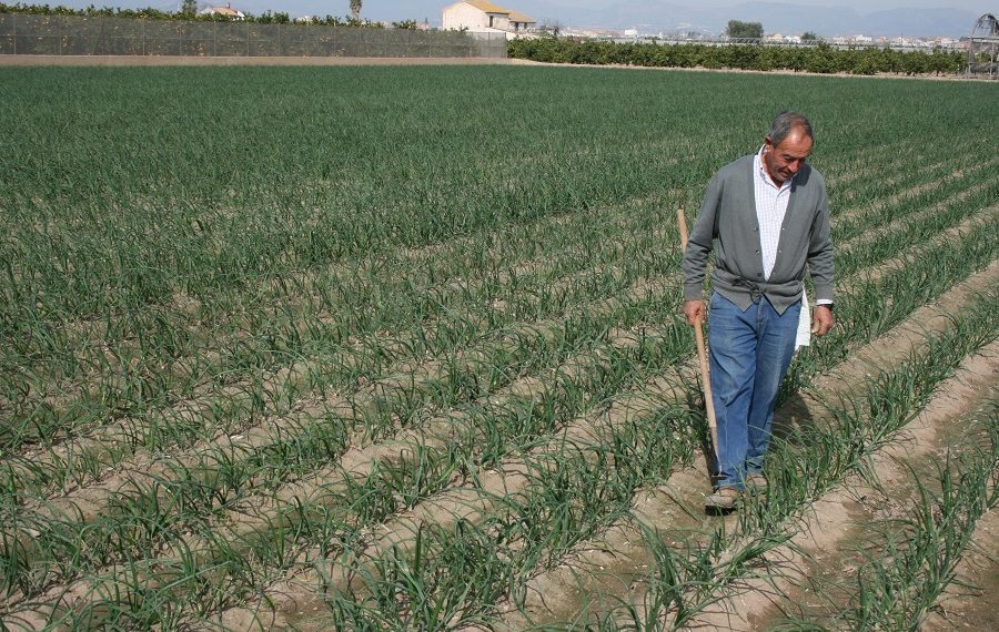 AVA-ASAJA denuncia que el Ministerio dejará fuera a miles de agricultores de las ayudas a fertilizantes por las trabas burocráticas