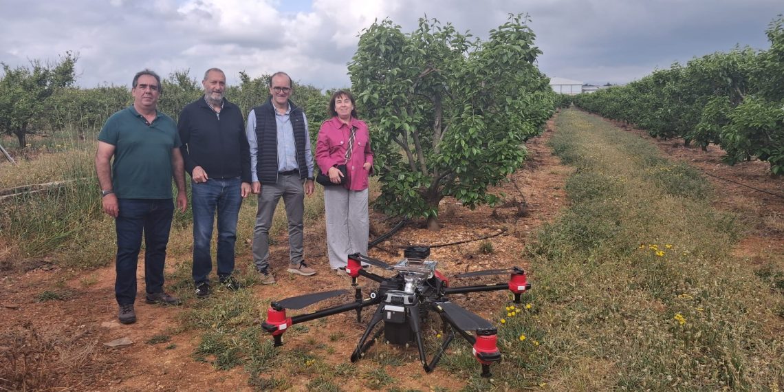 La Generalitat impulsa la digitalización en cooperativas agroalimentarias