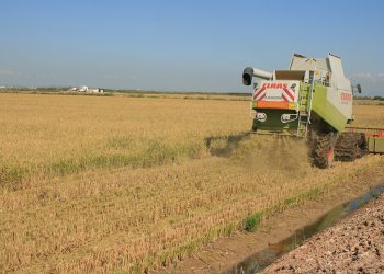 La Eurocámara aprueba la cláusula del arroz y desata críticas del sector