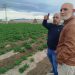 AVA-ASAJA denuncia que los agricultores perciben hasta doce veces menos de lo que paga el consumidor final
